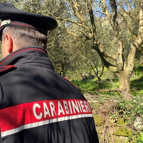 Carabinieri<br />&copy; Pagina Facebook