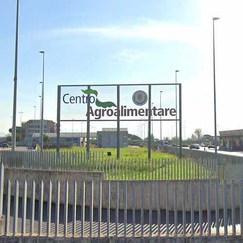 Centro Agro Alimentare nella Zona Industriale di Salerno<br />&copy; Google Maps