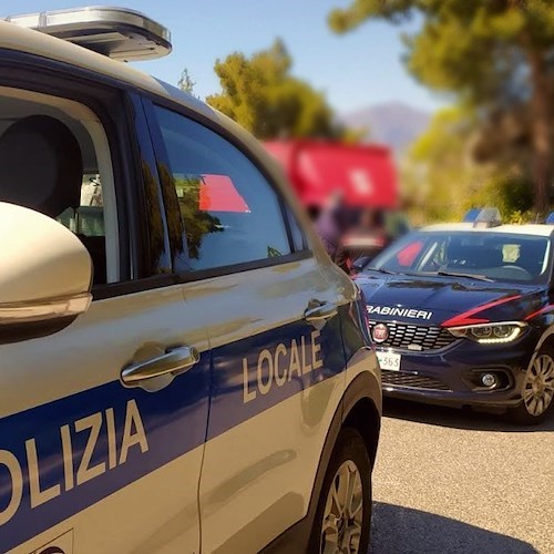 Polizia e Carabinieri