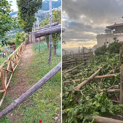 Staccionata a Minori e pergolato di limoni a Positano, Nocelle