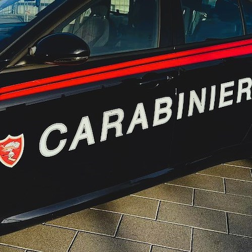 Carabinieri<br />&copy; Massimiliano D'Uva