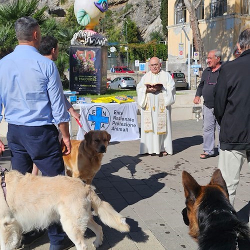 Benedizione dei Cani a San Francesco<br />&copy; Benedetto Amato