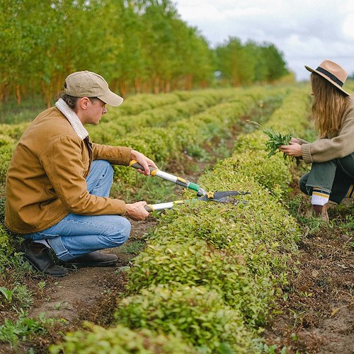 Giovani in agricoltura<br />&copy; Foto da Pexels