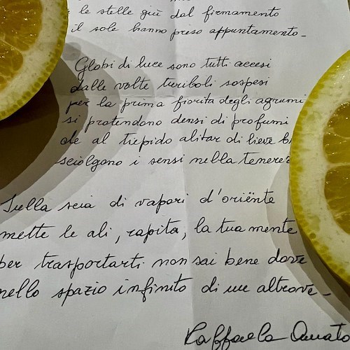 La fioritura dei limoni: un anticipo di Paradiso di Raffaela Amato per Il Vescovado<br />&copy; Massimiliano D'Uva