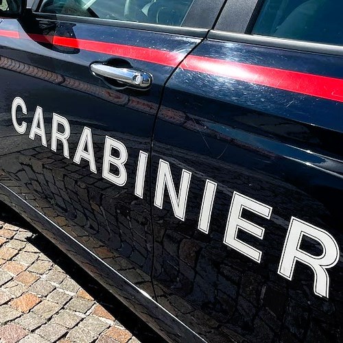 Carabinieri<br />&copy; Massimiliano D'Uva