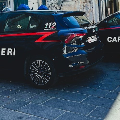 Carabinieri<br />&copy; Massimiliano D'Uva