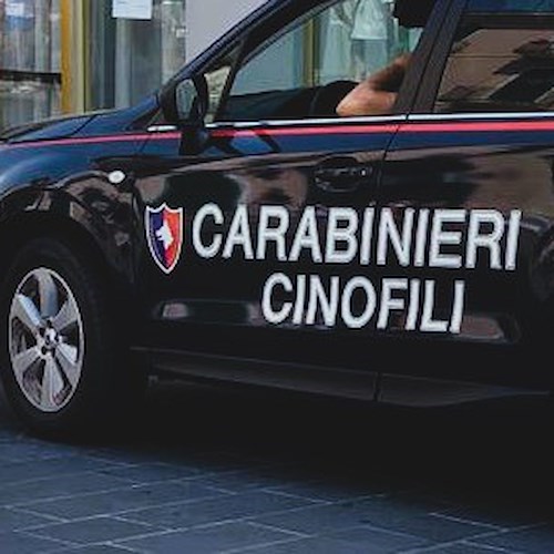 Carabinieri cinofili<br />&copy; Massimiliano D'Uva