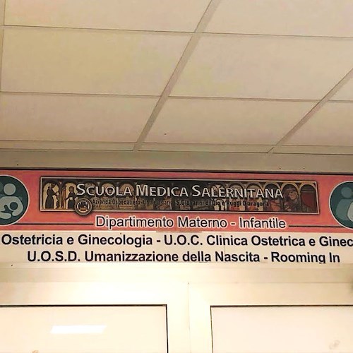 Ginecologia e Ostetricia<br />&copy; Maria Abate