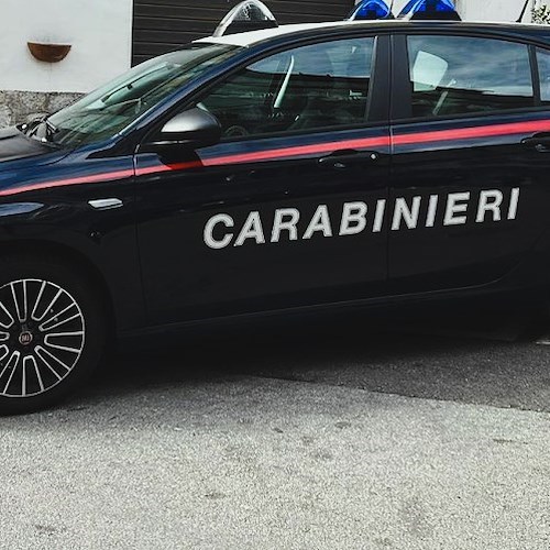 Carabinieri<br />&copy; Massimiliano D'Uva