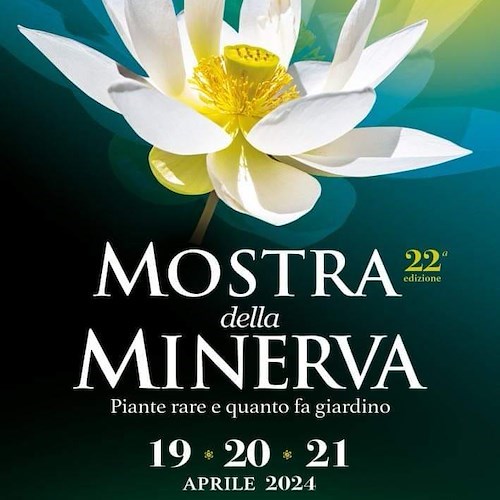 Mostra della Minerva 2024<br />&copy; Comune di Salerno