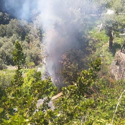 accensione di fuochi derivati dalla pulizia dei giardini