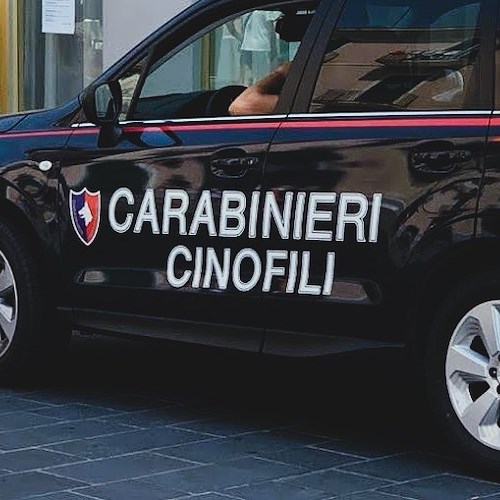 Carabinieri cinofili<br />&copy; Massimiliano D'Uva