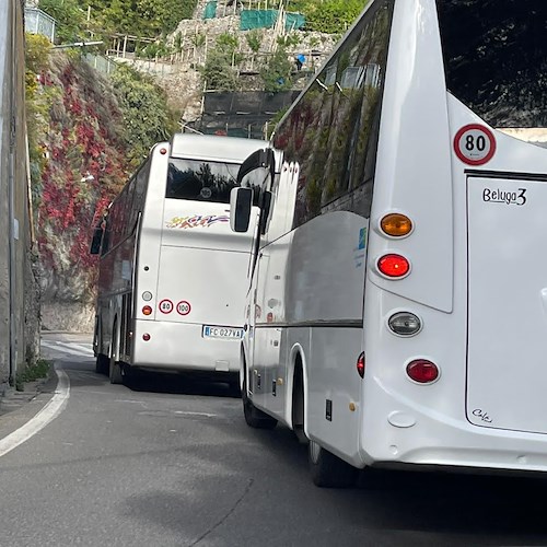 Bus turistici<br />&copy; Massimiliano D'Uva